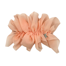 Load image into Gallery viewer, Chiffon Clip - Blush
