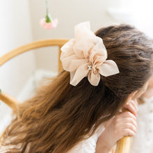 Load image into Gallery viewer, Chiffon Clip - Blush
